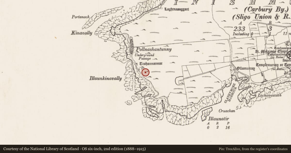 Ordnance Survey six-inch map, 2nd edition (1888–1915) covering the location of Leacht, Inishmurray, County Sligo, with a pin at the register's coordinates