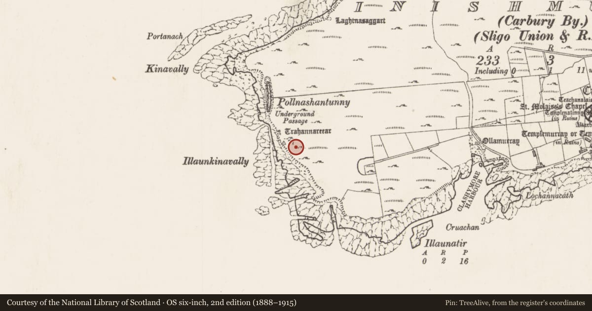Ordnance Survey six-inch map, 2nd edition (1888–1915) covering the location of Enclosure, Inishmurray, County Sligo, with a pin at the register's coordinates