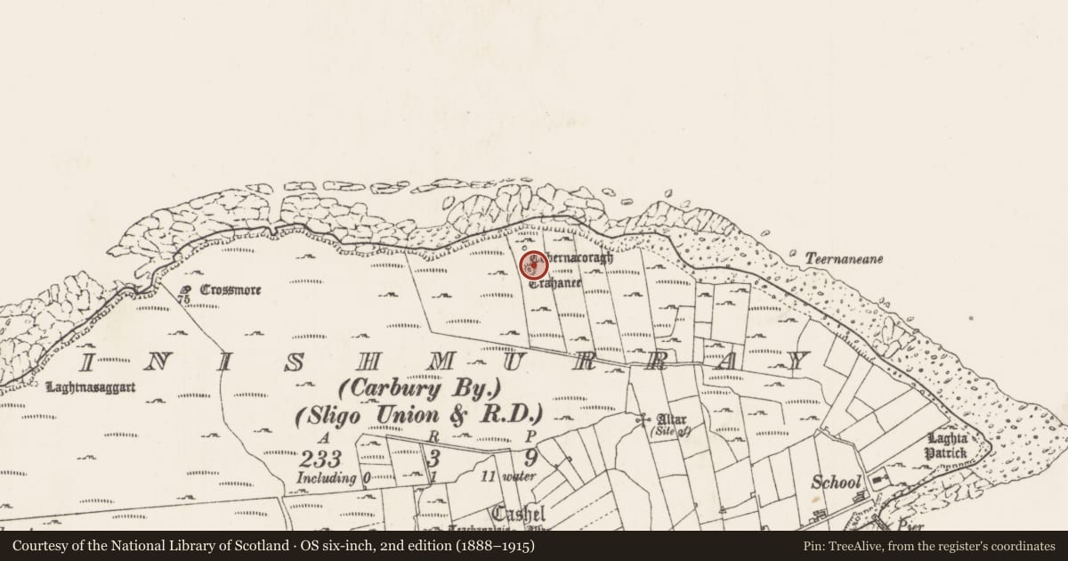 Ordnance Survey six-inch map, 2nd edition (1888–1915) covering the location of Ritual site - holy well, Inishmurray, County Sligo, with a pin at the register's coordinates
