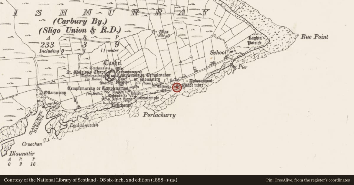 Ordnance Survey six-inch map, 2nd edition (1888–1915) covering the location of Cross-inscribed pillar, Inishmurray, County Sligo, with a pin at the register's coordinates
