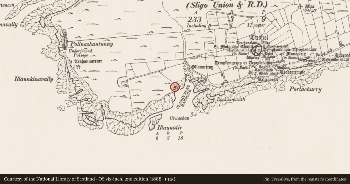 Ordnance Survey six-inch map, 2nd edition (1888–1915) covering the location of Cist, Inishmurray, County Sligo, with a pin at the register's coordinates