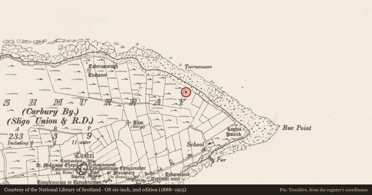 Ordnance Survey six-inch map, 2nd edition (1888–1915) covering the location of Cairn - unclassified, Inishmurray, County Sligo, with a pin at the register's coordinates