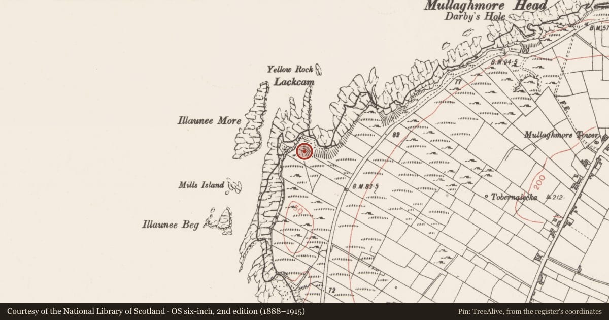 Ordnance Survey six-inch map, 2nd edition (1888–1915) covering the location of Promontory fort - coastal, Kilkilloge, County Sligo, with a pin at the register's coordinates