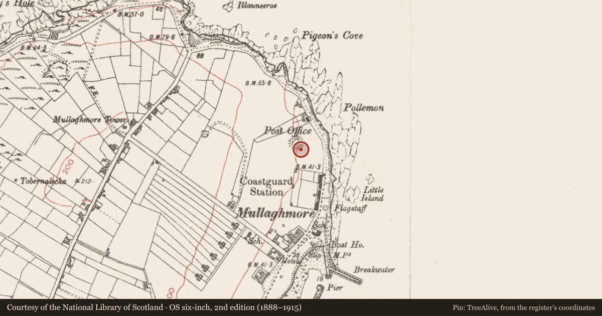 Ordnance Survey six-inch map, 2nd edition (1888–1915) covering the location of Ringfort - rath, Kilkilloge, County Sligo, with a pin at the register's coordinates