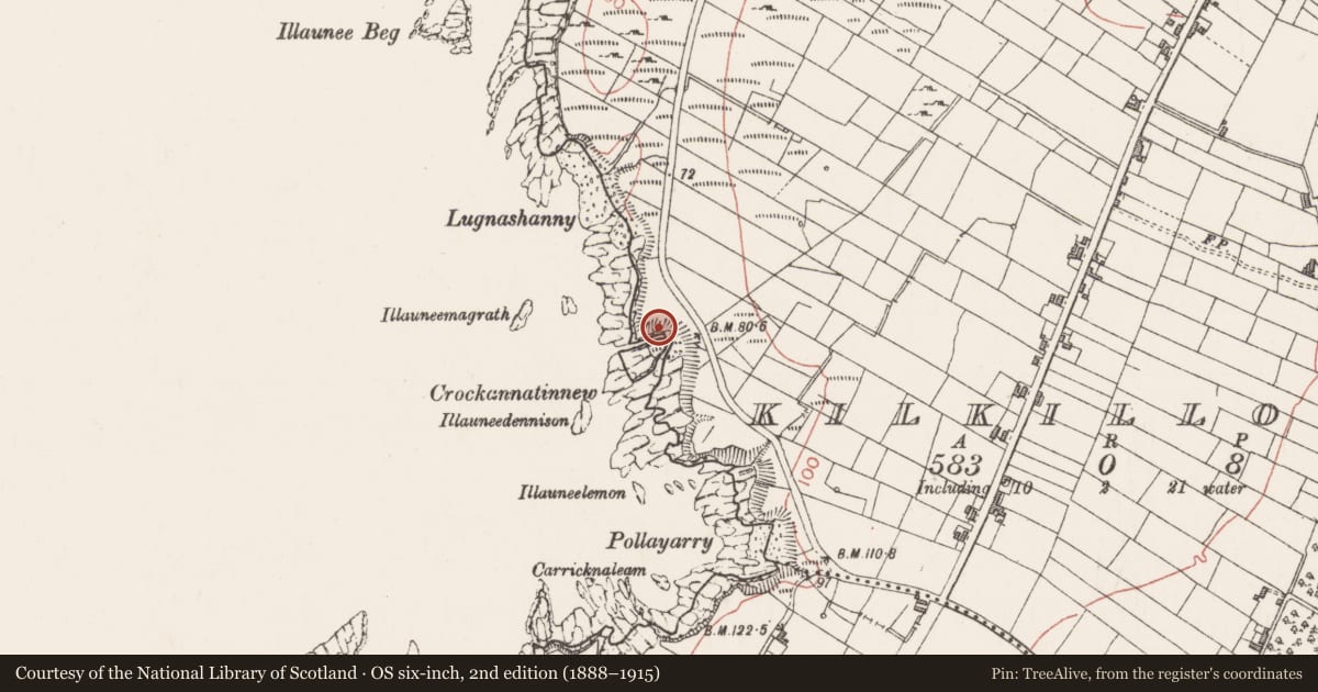 Ordnance Survey six-inch map, 2nd edition (1888–1915) covering the location of Promontory fort - coastal, Kilkilloge, County Sligo, with a pin at the register's coordinates