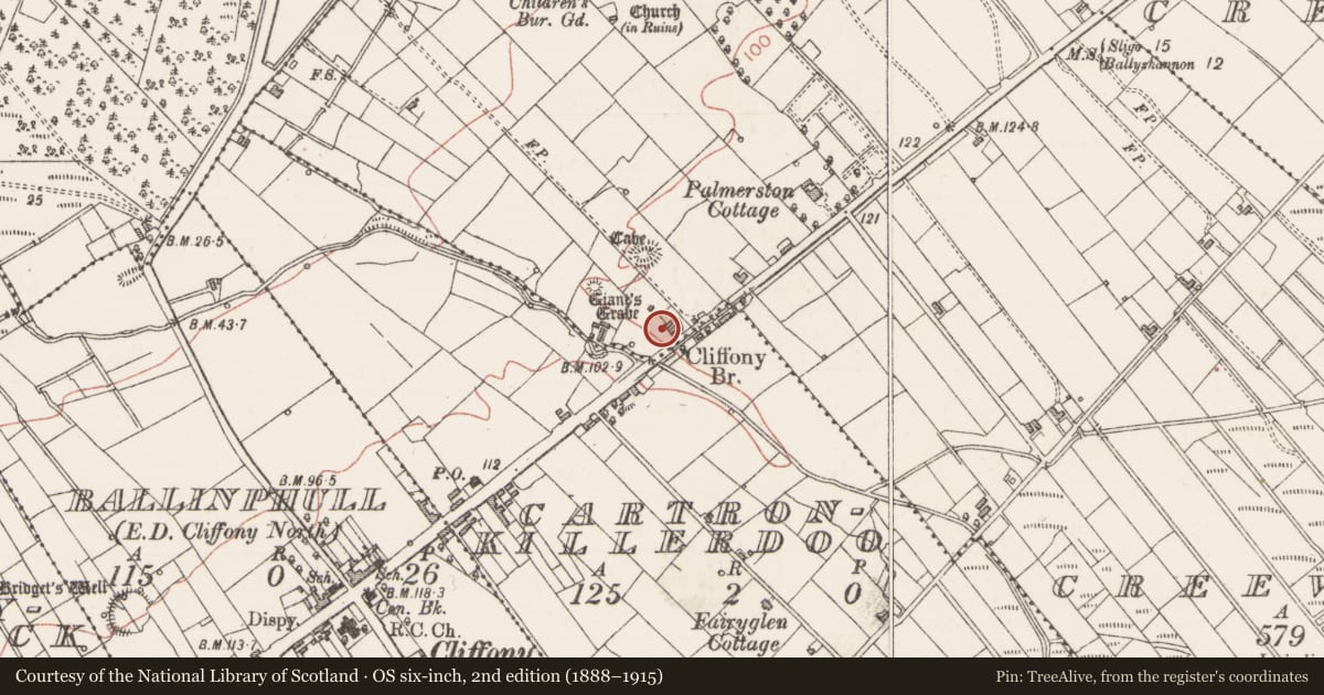 Ordnance Survey six-inch map, 2nd edition (1888–1915) covering the location of Megalithic tomb - court tomb, Creevymore, County Sligo, with a pin at the register's coordinates