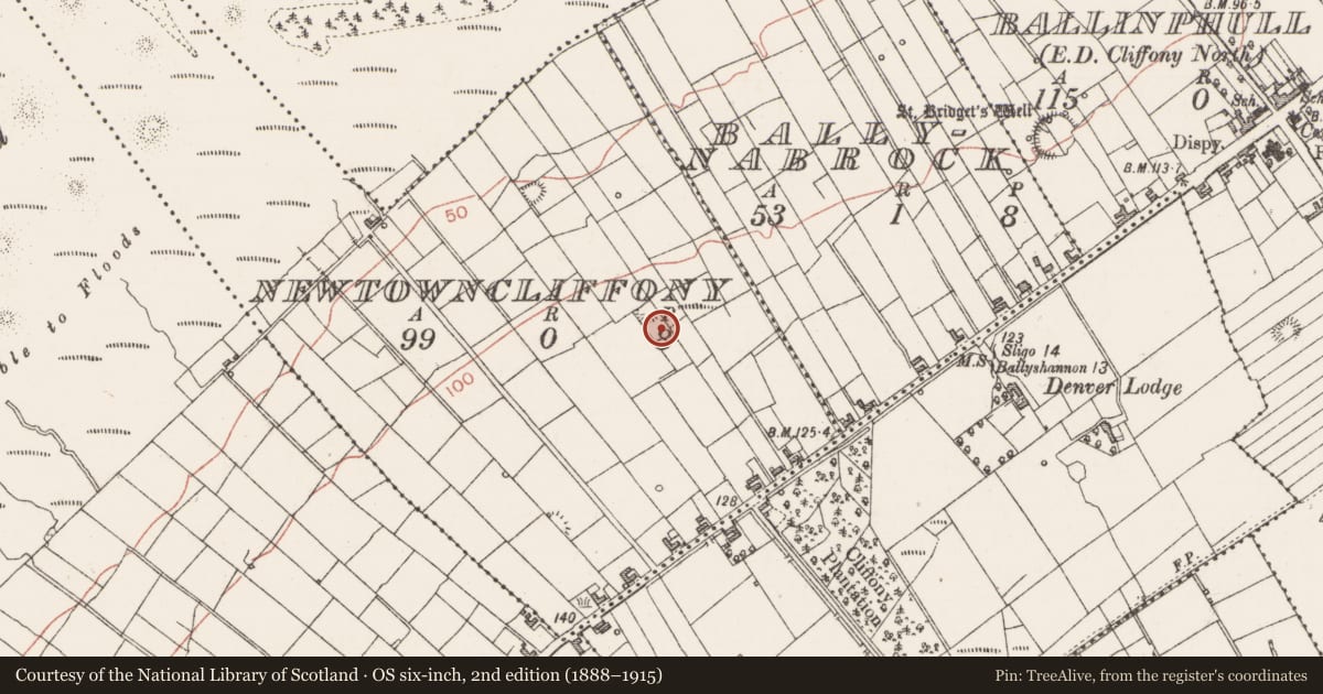 Ordnance Survey six-inch map, 2nd edition (1888–1915) covering the location of Ringfort - rath, Newtowncliffony, County Sligo, with a pin at the register's coordinates