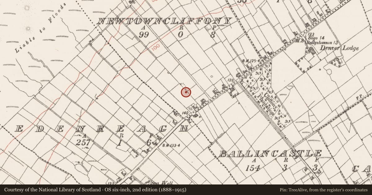 Ordnance Survey six-inch map, 2nd edition (1888–1915) covering the location of Ringfort - rath, Newtowncliffony, County Sligo, with a pin at the register's coordinates