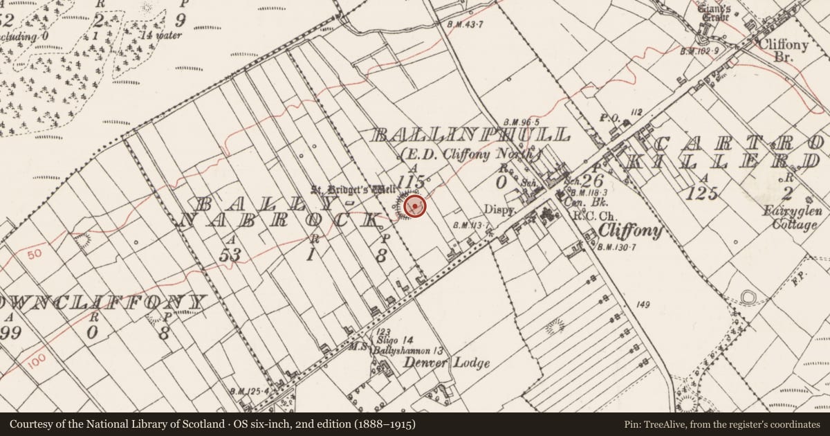 Ordnance Survey six-inch map, 2nd edition (1888–1915) covering the location of Cross-inscribed pillar, Ballinphull, County Sligo, with a pin at the register's coordinates