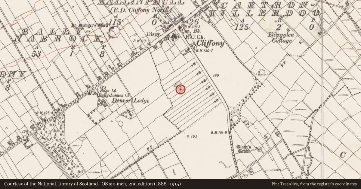 Ordnance Survey six-inch map, 2nd edition (1888–1915) covering the location of Ringfort - rath, Ballinphull, County Sligo, with a pin at the register's coordinates