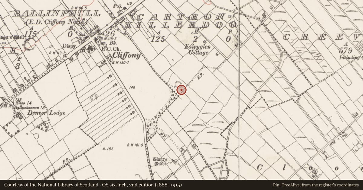 Ordnance Survey six-inch map, 2nd edition (1888–1915) covering the location of Ringfort - cashel, Cartronkillerdoo, County Sligo, with a pin at the register's coordinates
