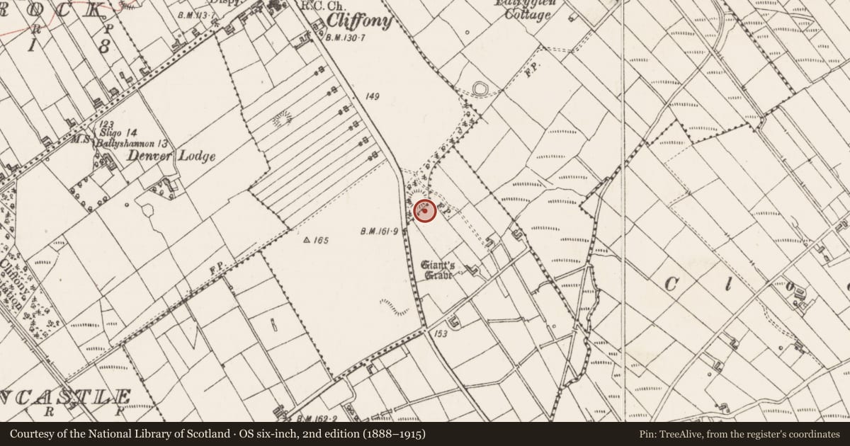 Ordnance Survey six-inch map, 2nd edition (1888–1915) covering the location of Ringfort - rath, Ballinphull, County Sligo, with a pin at the register's coordinates