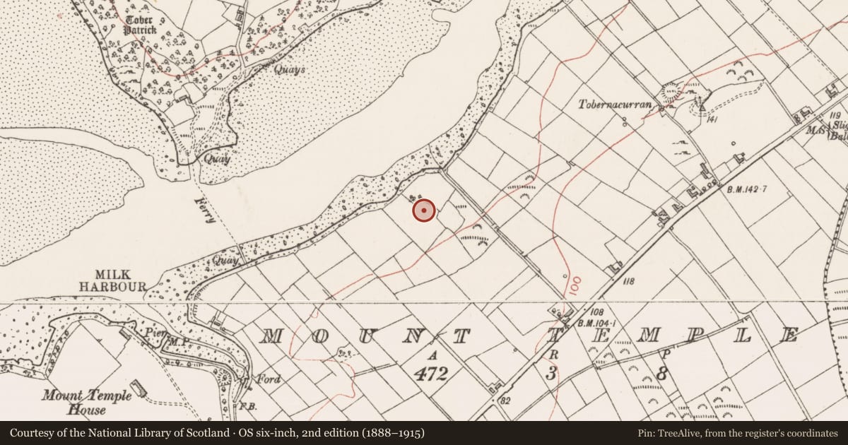 Ordnance Survey six-inch map, 2nd edition (1888–1915) covering the location of Cairn - unclassified, Mount Temple, County Sligo, with a pin at the register's coordinates