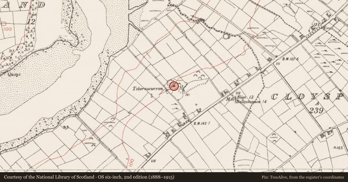 Ordnance Survey six-inch map, 2nd edition (1888–1915) covering the location of Ringfort - rath, Mount Temple, County Sligo, with a pin at the register's coordinates