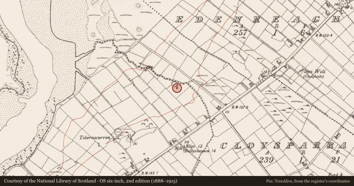 Ordnance Survey six-inch map, 2nd edition (1888–1915) covering the location of Ringfort - cashel, Mount Temple, County Sligo, with a pin at the register's coordinates