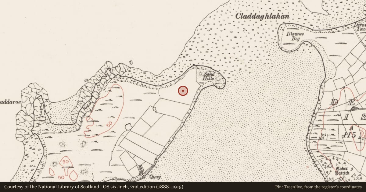 Ordnance Survey six-inch map, 2nd edition (1888–1915) covering the location of Mound, Conor'S Island, County Sligo, with a pin at the register's coordinates