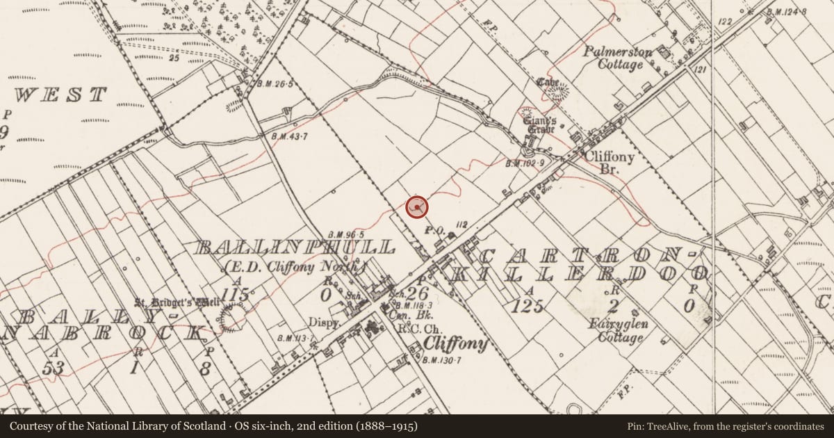 Ordnance Survey six-inch map, 2nd edition (1888–1915) covering the location of Ringfort - cashel, Cartronkillerdoo, County Sligo, with a pin at the register's coordinates