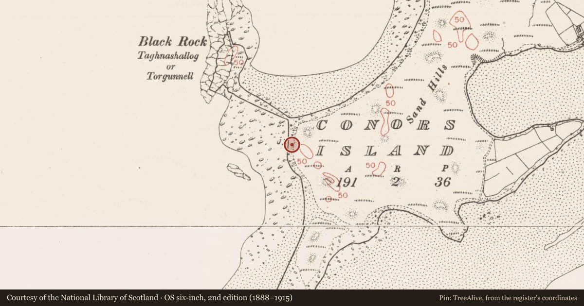 Ordnance Survey six-inch map, 2nd edition (1888–1915) covering the location of Seaweed stand, Conor'S Island, County Sligo, with a pin at the register's coordinates