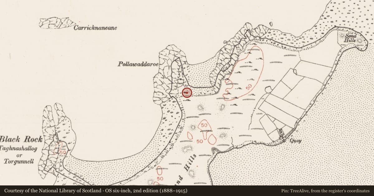 Ordnance Survey six-inch map, 2nd edition (1888–1915) covering the location of Seaweed stand, Conor'S Island, County Sligo, with a pin at the register's coordinates