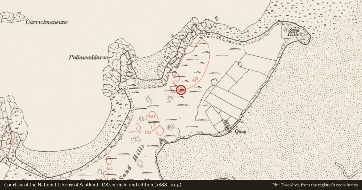Ordnance Survey six-inch map, 2nd edition (1888–1915) covering the location of Standing stone - pair, Conor'S Island, County Sligo, with a pin at the register's coordinates