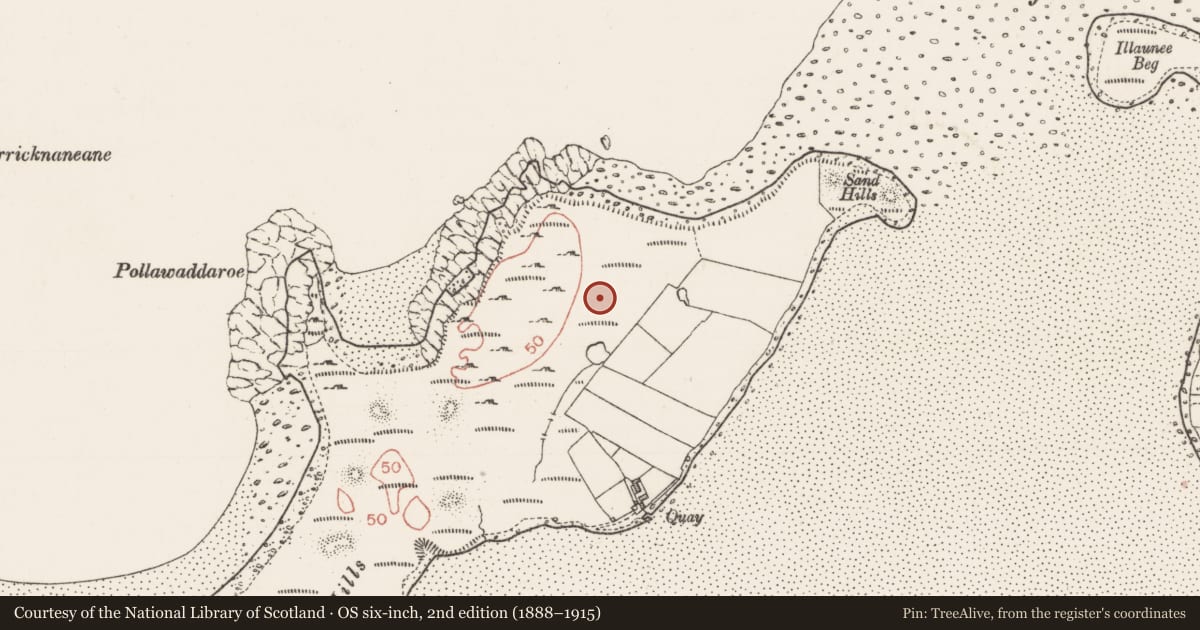 Ordnance Survey six-inch map, 2nd edition (1888–1915) covering the location of Kiln - kelp drying, Conor'S Island, County Sligo, with a pin at the register's coordinates