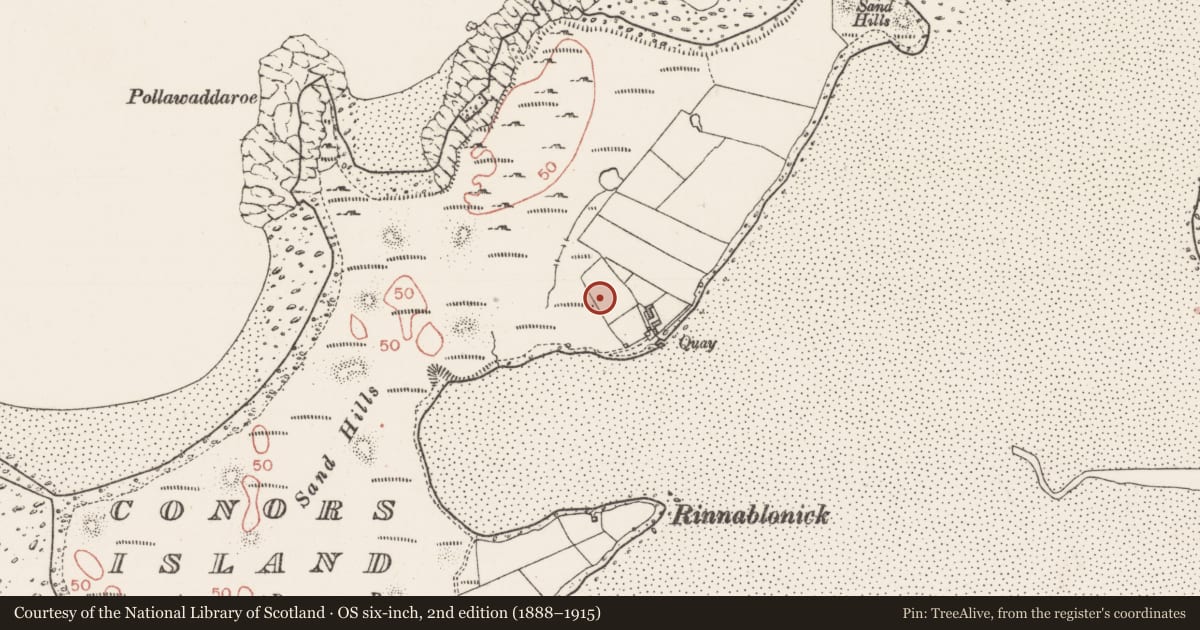 Ordnance Survey six-inch map, 2nd edition (1888–1915) covering the location of Enclosure, Conor'S Island, County Sligo, with a pin at the register's coordinates