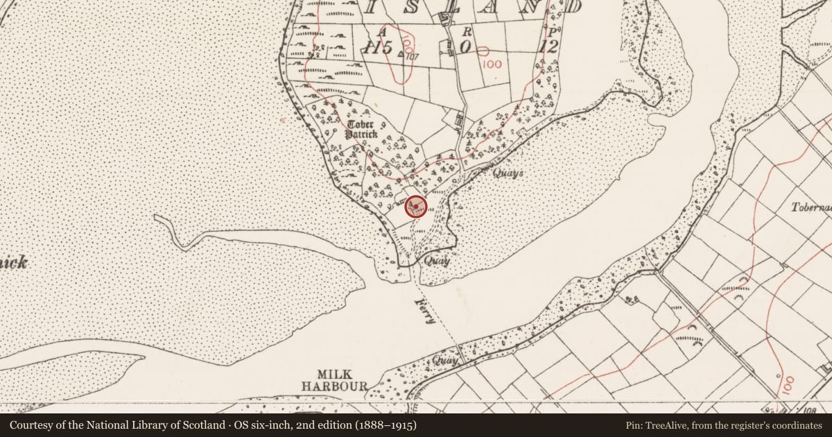 Ordnance Survey six-inch map, 2nd edition (1888–1915) covering the location of Ringfort - cashel, Dernish Island, County Sligo, with a pin at the register's coordinates