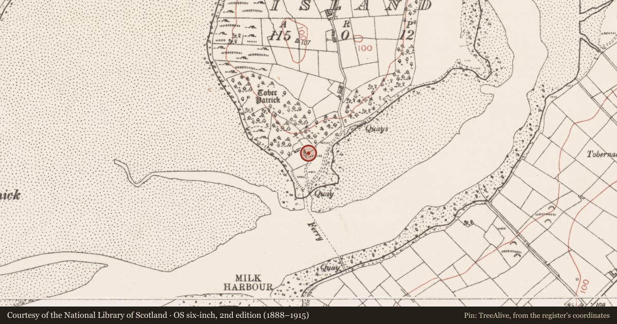 Ordnance Survey six-inch map, 2nd edition (1888–1915) covering the location of Burial, Dernish Island, County Sligo, with a pin at the register's coordinates