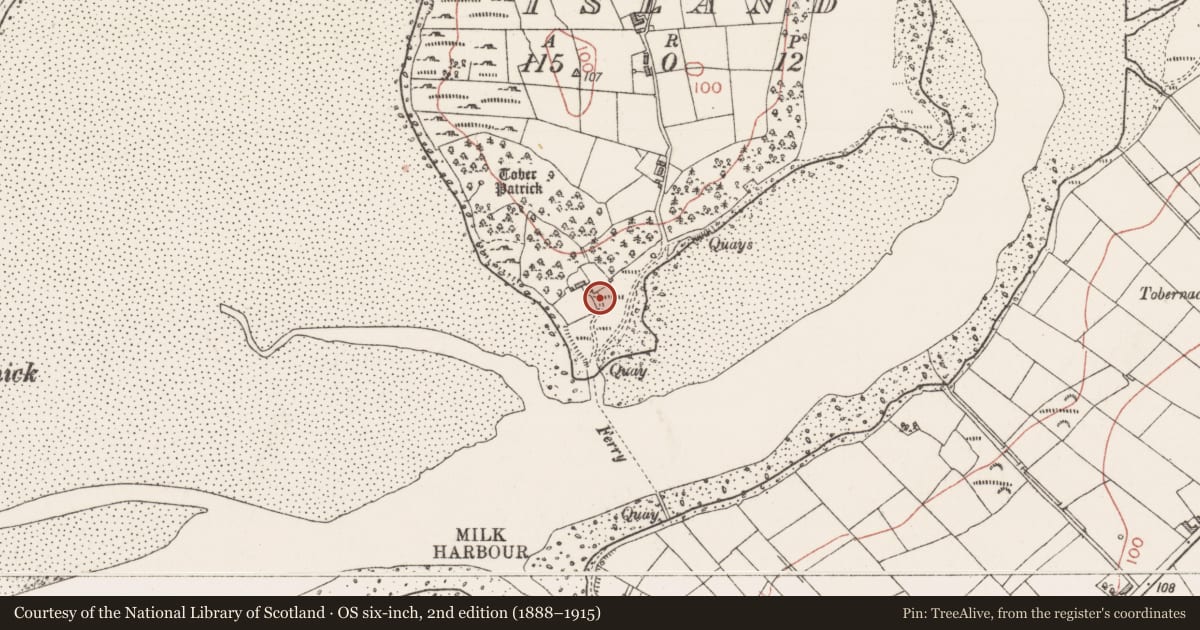 Ordnance Survey six-inch map, 2nd edition (1888–1915) covering the location of Cist, Dernish Island, County Sligo, with a pin at the register's coordinates