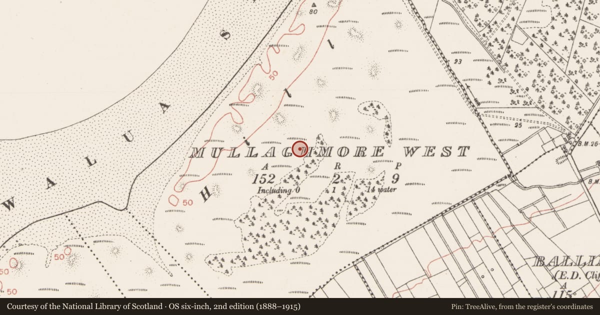 Ordnance Survey six-inch map, 2nd edition (1888–1915) covering the location of Midden, Mullaghmore West, County Sligo, with a pin at the register's coordinates