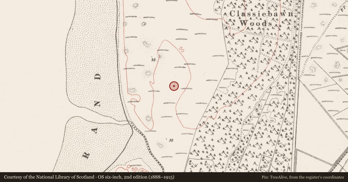 Ordnance Survey six-inch map, 2nd edition (1888–1915) covering the location of Midden, Mullaghmore, County Sligo, with a pin at the register's coordinates