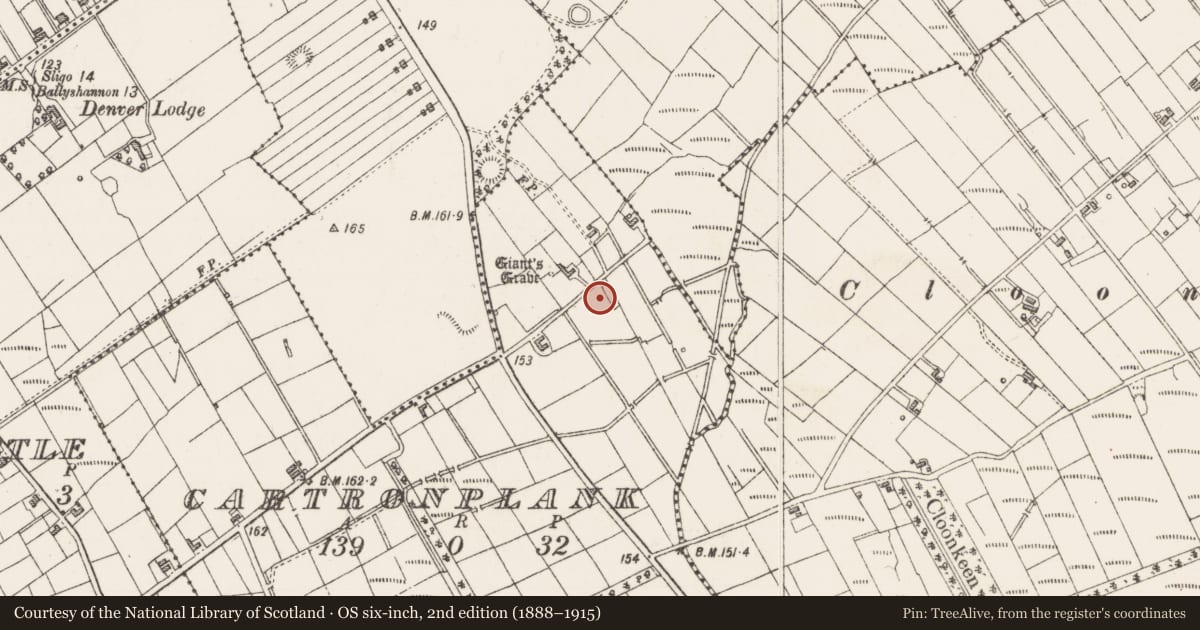 Ordnance Survey six-inch map, 2nd edition (1888–1915) covering the location of Bullaun stone, Cartronplank, County Sligo, with a pin at the register's coordinates