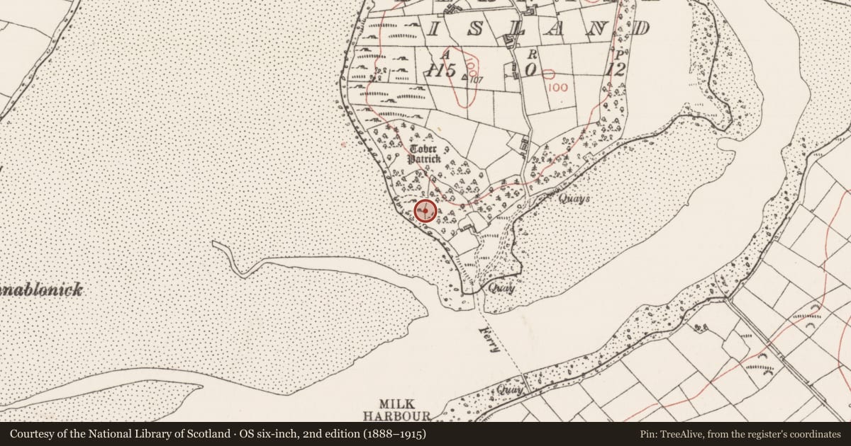 Ordnance Survey six-inch map, 2nd edition (1888–1915) covering the location of Hut site, Dernish Island, County Sligo, with a pin at the register's coordinates