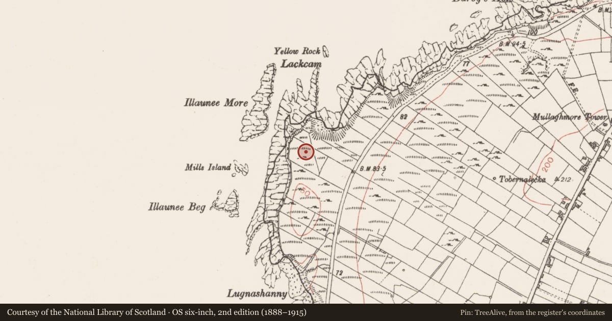 Ordnance Survey six-inch map, 2nd edition (1888–1915) covering the location of Signal tower, Kilkilloge, County Sligo, with a pin at the register's coordinates