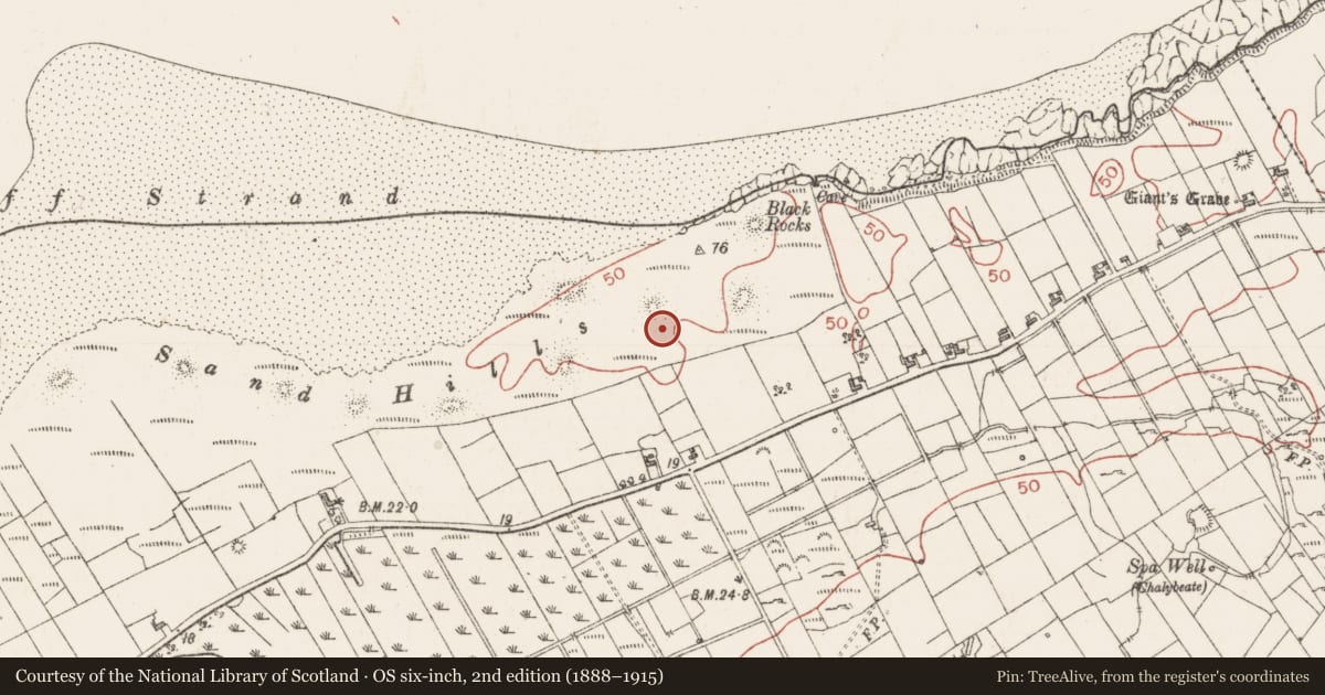 Ordnance Survey six-inch map, 2nd edition (1888–1915) covering the location of Anomalous stone group, Bunduff, County Sligo, with a pin at the register's coordinates