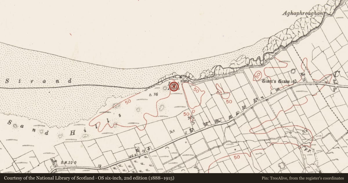 Ordnance Survey six-inch map, 2nd edition (1888–1915) covering the location of Cist, Bunduff, County Sligo, with a pin at the register's coordinates