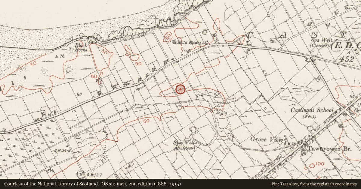 Ordnance Survey six-inch map, 2nd edition (1888–1915) covering the location of Ringfort - unclassified, Bunduff, County Sligo, with a pin at the register's coordinates