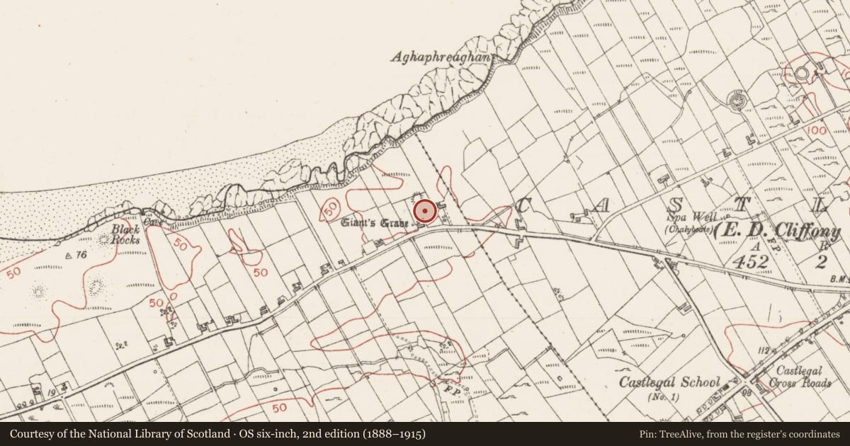 Ordnance Survey six-inch map, 2nd edition (1888–1915) covering the location of Enclosure, Bunduff, County Sligo, with a pin at the register's coordinates