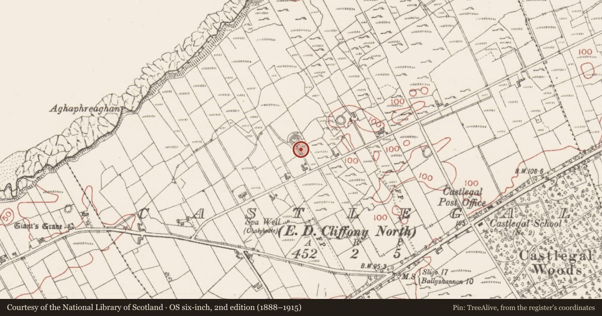 Ordnance Survey six-inch map, 2nd edition (1888–1915) covering the location of Ringfort - cashel, Castlegal, County Sligo, with a pin at the register's coordinates