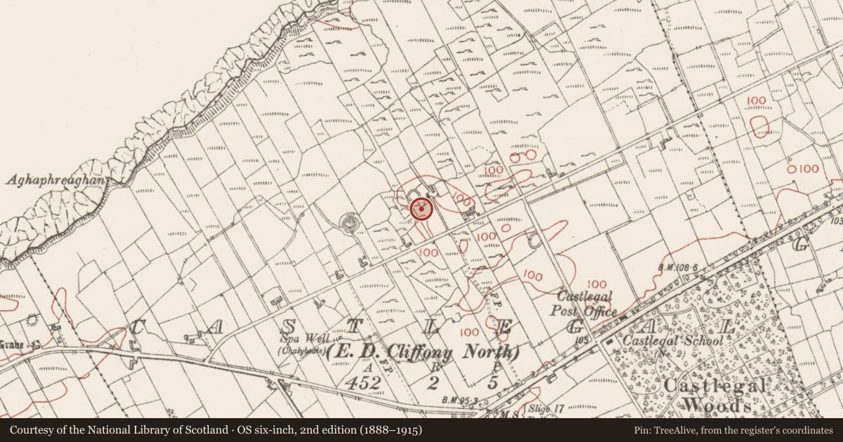 Ordnance Survey six-inch map, 2nd edition (1888–1915) covering the location of Ringfort - cashel, Castlegal, County Sligo, with a pin at the register's coordinates