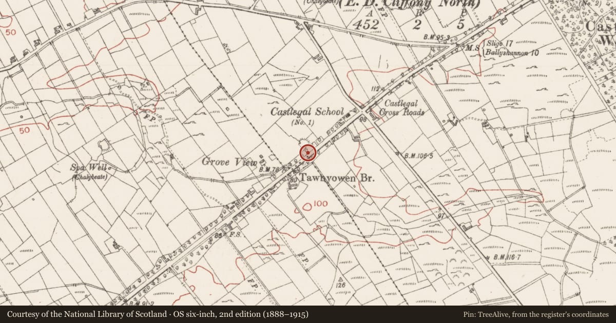 Ordnance Survey six-inch map, 2nd edition (1888–1915) covering the location of Ringfort - cashel, Castlegal, County Sligo, with a pin at the register's coordinates