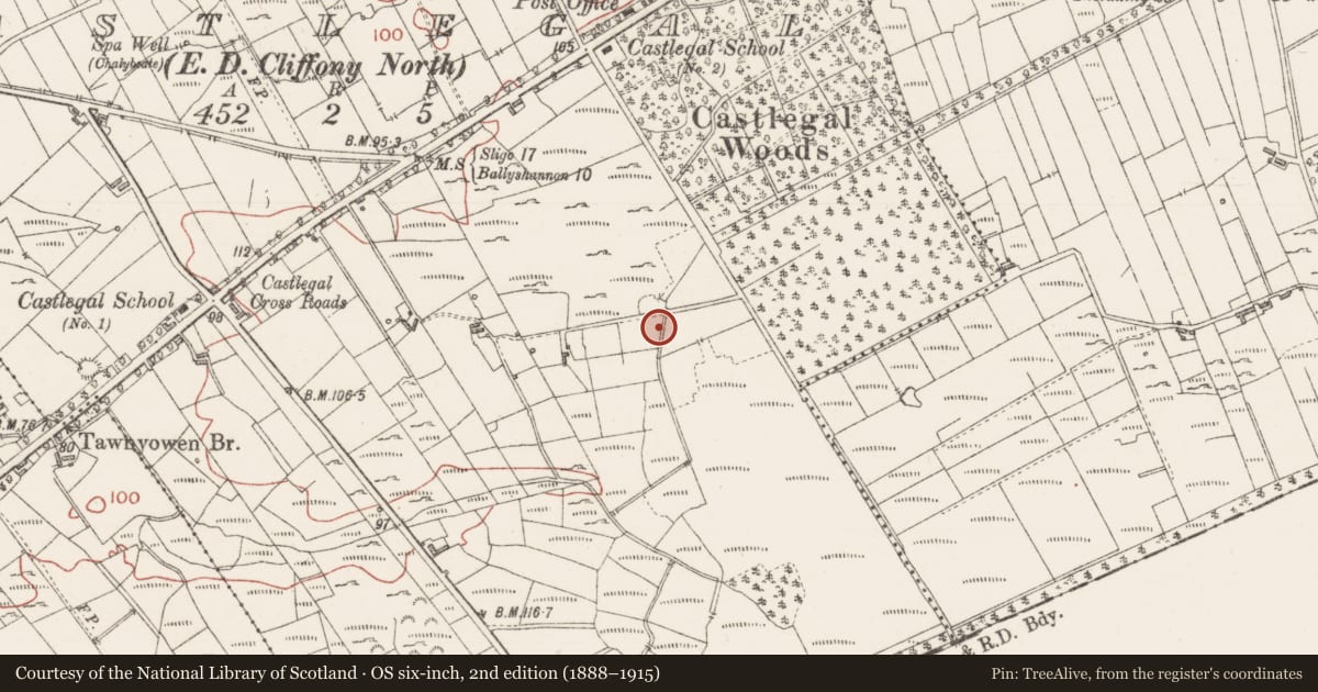 Ordnance Survey six-inch map, 2nd edition (1888–1915) covering the location of Enclosure, Castlegal, County Sligo, with a pin at the register's coordinates