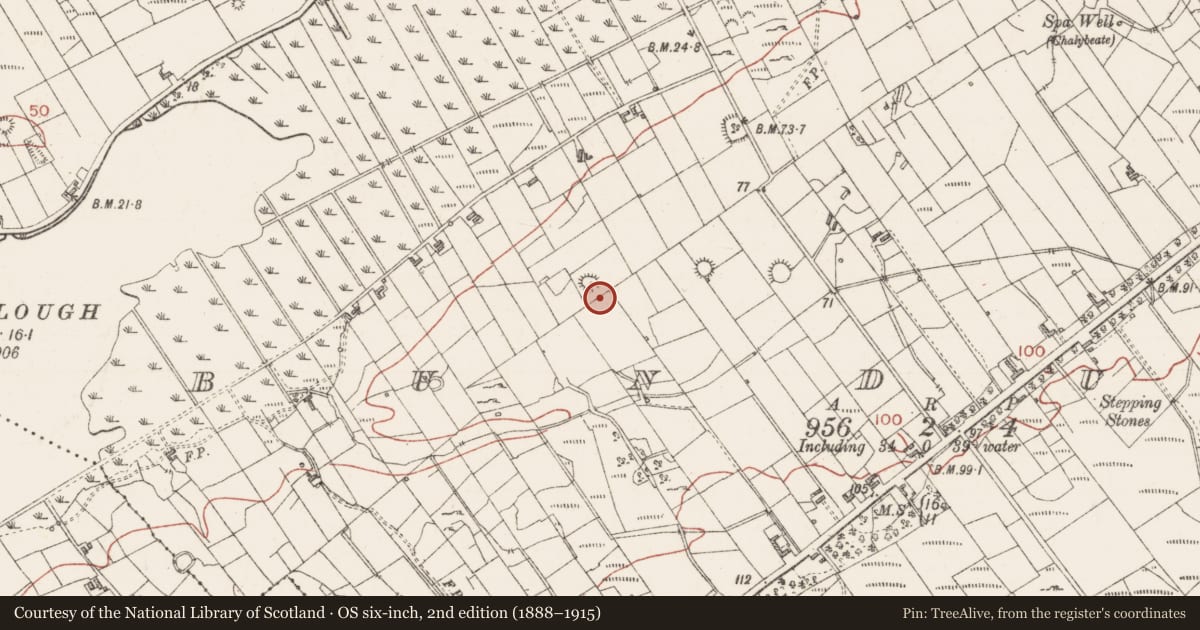Ordnance Survey six-inch map, 2nd edition (1888–1915) covering the location of Megalithic tomb - court tomb, Bunduff, County Sligo, with a pin at the register's coordinates