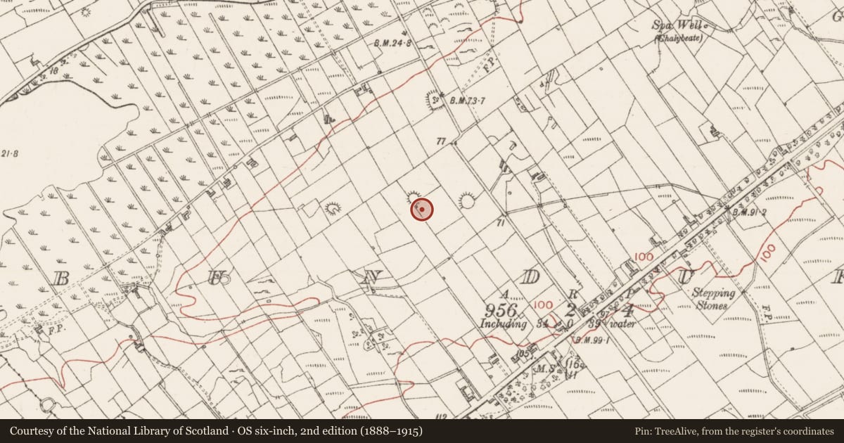 Ordnance Survey six-inch map, 2nd edition (1888–1915) covering the location of Ringfort - cashel, Bunduff, County Sligo, with a pin at the register's coordinates