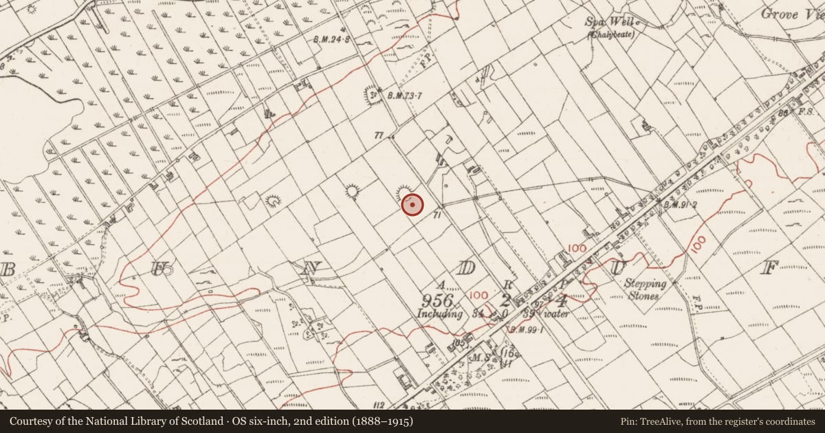 Ordnance Survey six-inch map, 2nd edition (1888–1915) covering the location of Ringfort - cashel, Bunduff, County Sligo, with a pin at the register's coordinates
