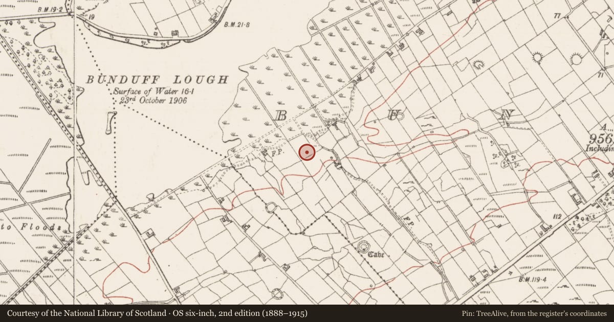 Ordnance Survey six-inch map, 2nd edition (1888–1915) covering the location of Megalithic tomb - unclassified, Bunduff, County Sligo, with a pin at the register's coordinates