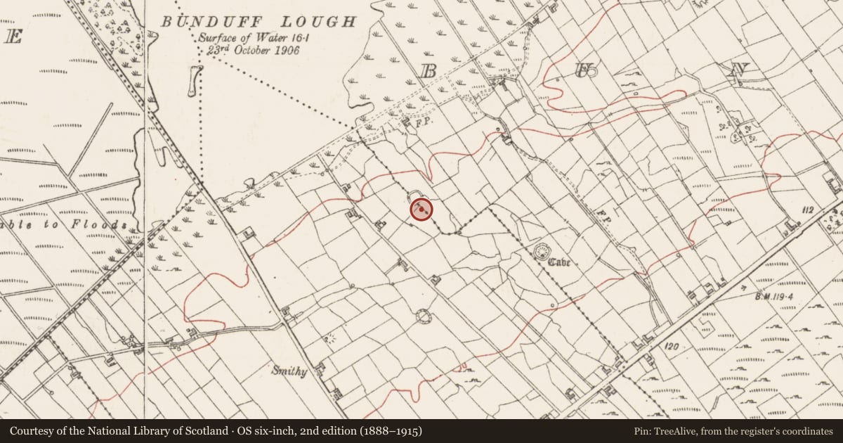 Ordnance Survey six-inch map, 2nd edition (1888–1915) covering the location of Ringfort - cashel, Bunduff, County Sligo, with a pin at the register's coordinates