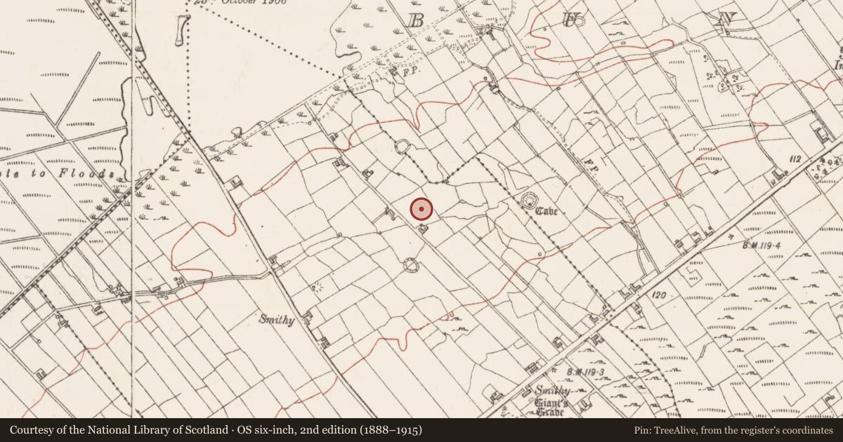 Ordnance Survey six-inch map, 2nd edition (1888–1915) covering the location of Field boundary, Creevykeel, County Sligo, with a pin at the register's coordinates