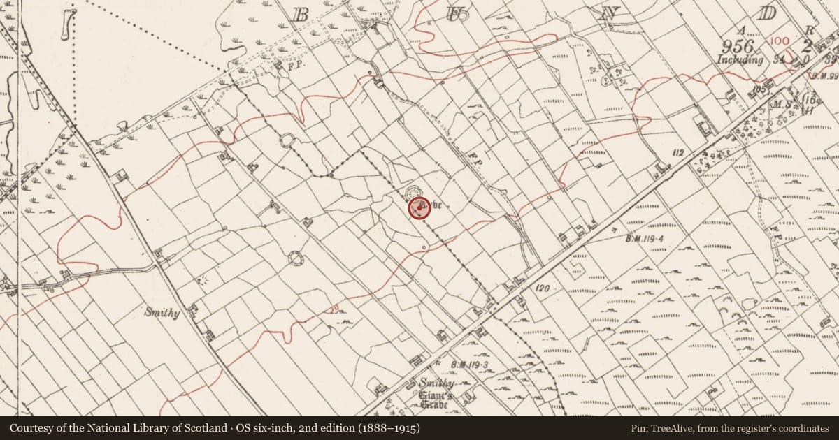 Ordnance Survey six-inch map, 2nd edition (1888–1915) covering the location of Ringfort - cashel, Bunduff, County Sligo, with a pin at the register's coordinates