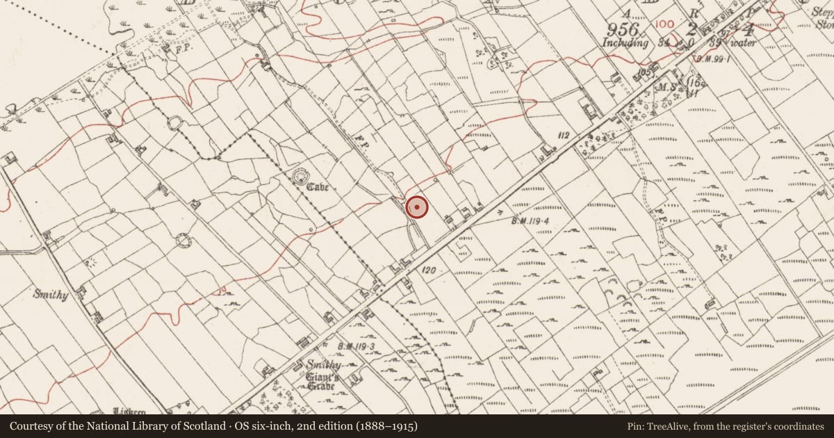 Ordnance Survey six-inch map, 2nd edition (1888–1915) covering the location of Ringfort - cashel, Bunduff, County Sligo, with a pin at the register's coordinates